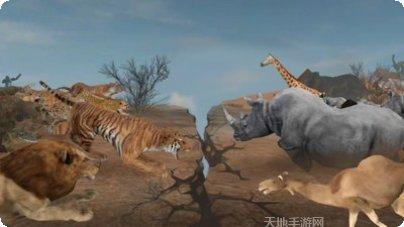 野生动物之非洲生态观察