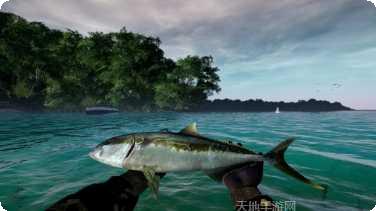 终极钓鱼联赛玩法介绍