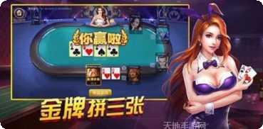 天天自摸棋牌安卓版
