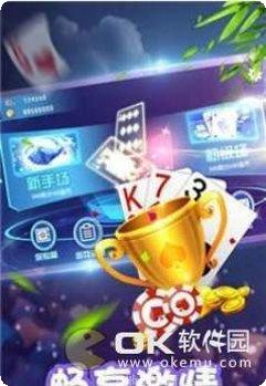 二百四棋牌下载