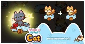 猫咪合成大师技巧分享