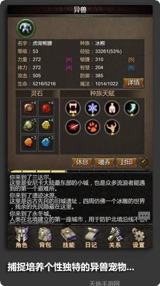 安尼卡永恒技能搭配