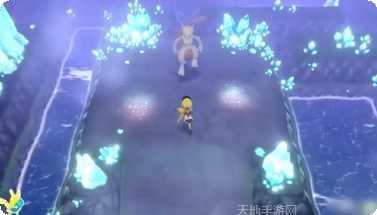 萌宠森友会下载