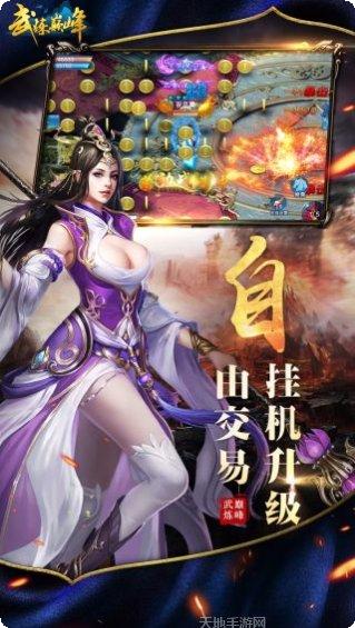 武炼巅峰之武道攻略