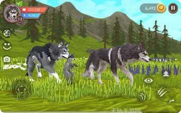 WildCraft野生动物角色