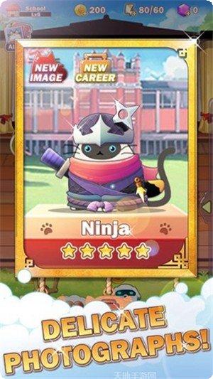 猫咪学校下载