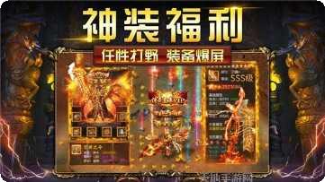 狂龙紫电传奇世界角色选择