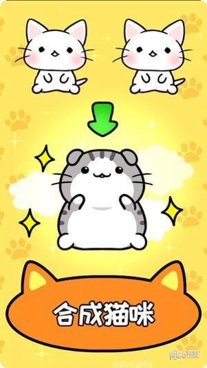 猫咪公寓2趣味玩法