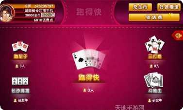 紫金岛跑得快玩法