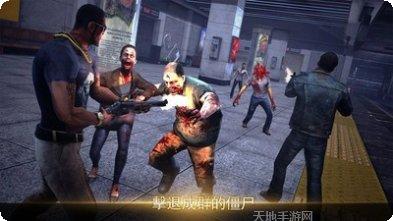 图片4