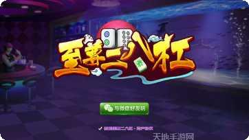 至尊二八杠游戏技巧