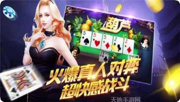 牛气冲天斗牛最新版本