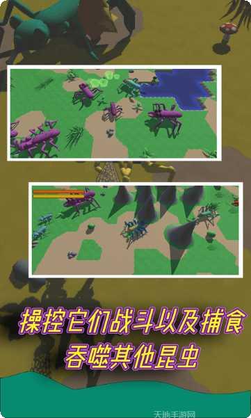 昆虫进化竞技场攻略