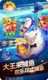 大王来捕鱼技巧分享
