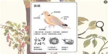 小松鼠的生活下载
