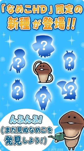 滑子菇栽培套装攻略