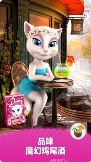 会说话的小猫咪好玩吗