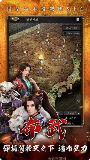 霸王之业战国野望攻略