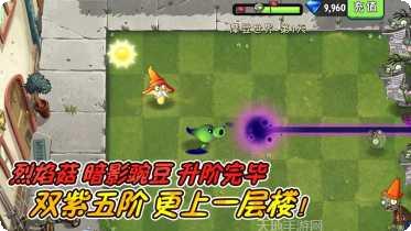 植物大战地精2最新版本