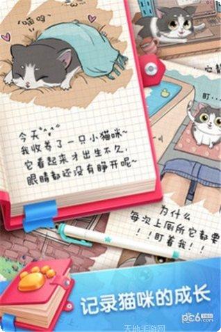 口袋猫咪社区交流