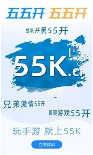 55游戏攻略