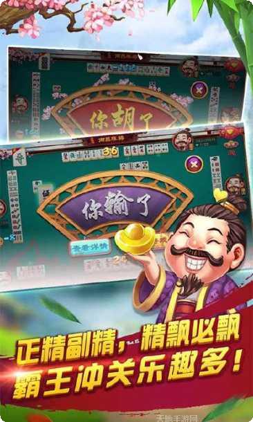 江淮阜阳麻将下载