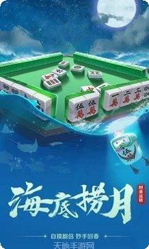 3D功夫麻将技巧