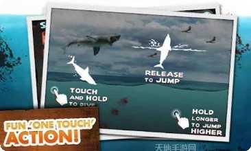 大白鲨的复仇游戏攻略