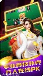 乐玩棋牌安卓版