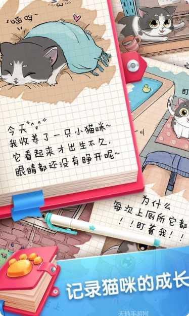 口袋猫咪攻略