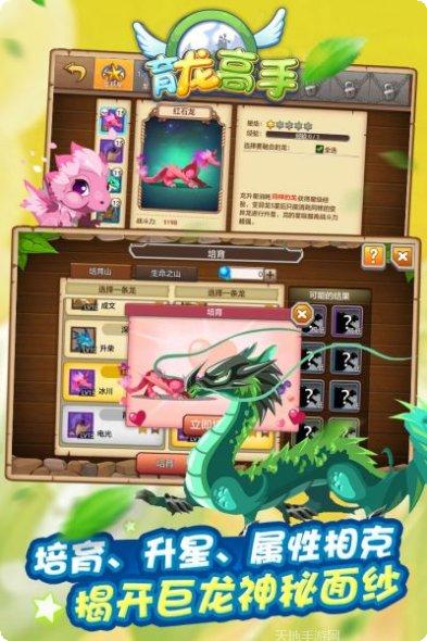 图片4
