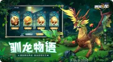 遇见龙新手教程