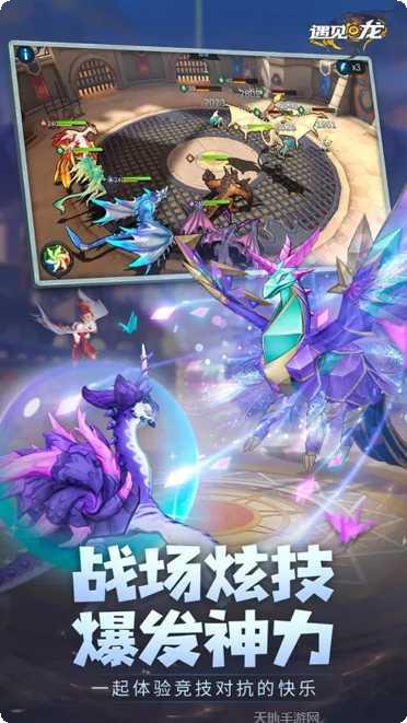 遇见龙宠物养成