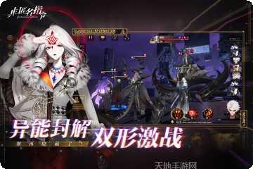非匿名指令角色搭配