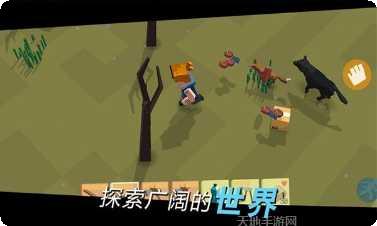 方舟之路游戏攻略