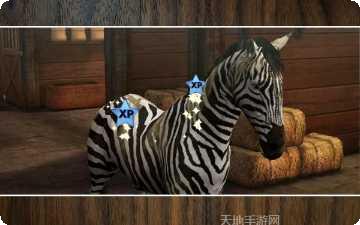 我的马戏团攻略大全