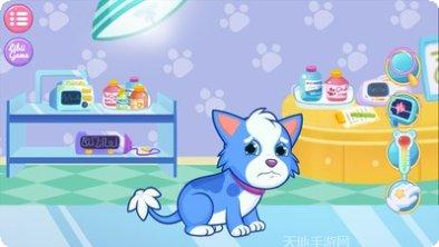 照顾小猫养成玩法
