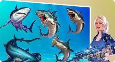 深海鲨鱼追捕体验