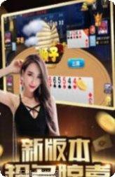 新睿桥牌下载
