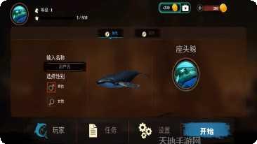 海洋动物传奇神秘海域