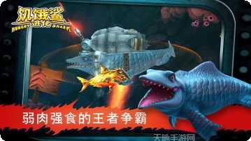 饥饿的鲨鱼进化下载