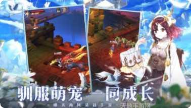 塞尔奇缘角色推荐