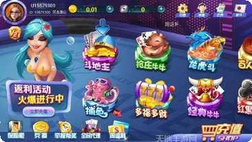 两杠开花棋牌规则