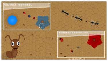 蚂蚁进化3D奖励版攻略