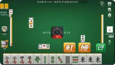 丰雅牌牌乐安卓版