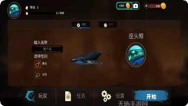 海洋动物传奇最新版本