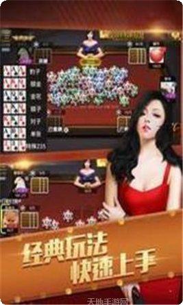 金牛元帅斗牛最新版本