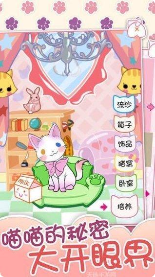 喵大人物语下载