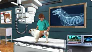 宠物医生冒险游戏