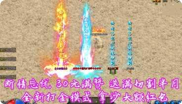 忘忧传奇打金版职业选择